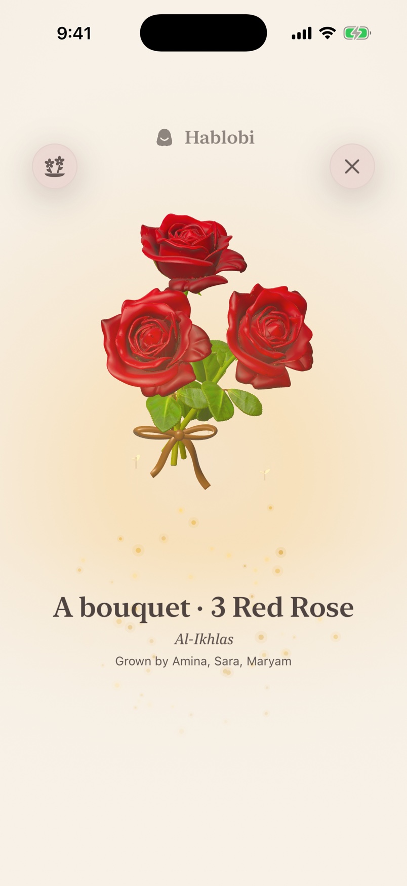 A three-rose bouquet grown from Al-Ikhlas by Amina, Sara and Maryam, shown in Hablobi’s actual flower reveal.